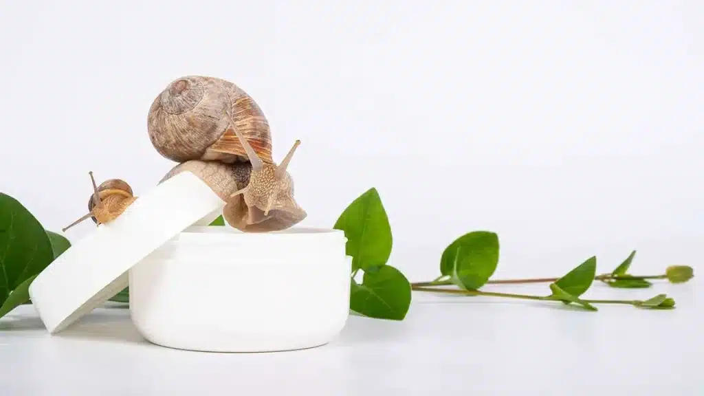 Snail and a jar of snail cream on a natural background