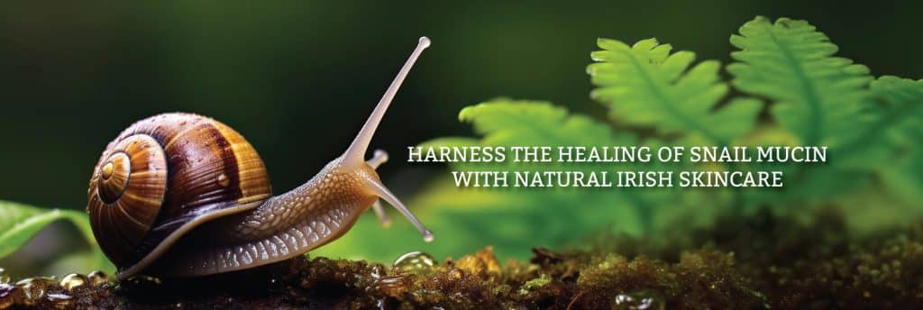 Bragan Skincare banner featuring snail mucin skincare