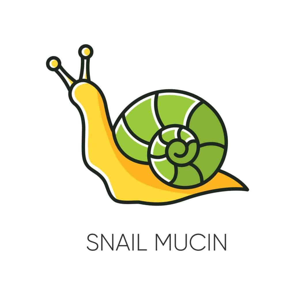 ​snail mucin, snail mucin benefits, snail mucin skincare, snail mucin cream, snail mucin serum, snail mucin skincare,