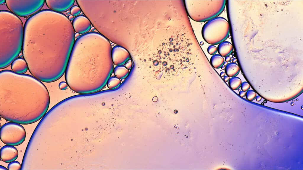 skin barrier