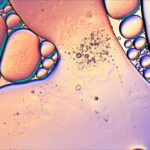 skin barrier